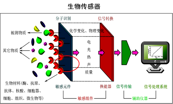 青少年励志教育培训学校